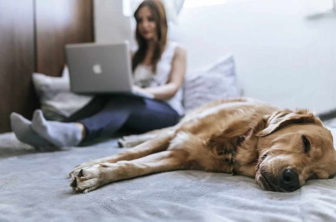 high tech smart bed